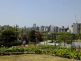 天空公園