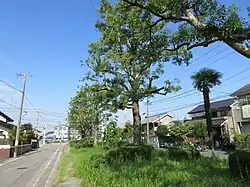 明治川緑道