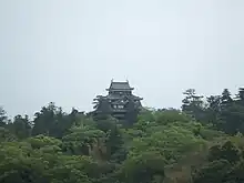 明々庵から望む松江城