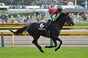 競走馬マイネルファンロン