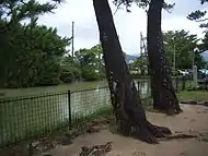 水練池