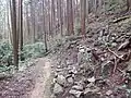 坪ヶ谷新四国