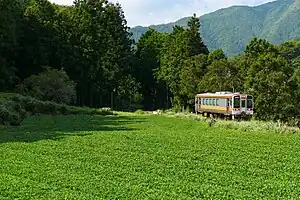 名松線を走行するキハ11形300番台気動車（2023年9月 伊勢鎌倉駅 -伊勢竹原駅間）