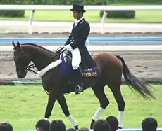 小倉競馬場(メイショウカイドウ)