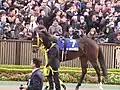 7. メイショウカンパク