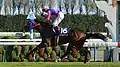 第18回優勝馬メイショウマンボ（鞍上、武幸四郎）