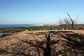 免鳥長山古墳墳丘頂部からの風景