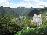 夫婦岩から眺める成羽川
