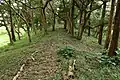 後円部から前方部を望む