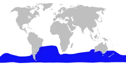 タイヘイヨウオウギハクジラの生息域