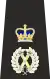 Metropolitan Police Assistant Commissioner of the Metropolis Epaulette