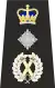 Metropolitan Police Commissioner of the Metropolis Epaulette