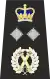 Metropolitan Police Deputy Commissioner of the Metropolis Epaulette