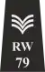 Metropolitan Police Sergeant Epaulette