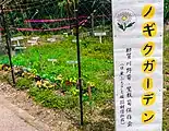地元団体による庭園ノギクガーデン