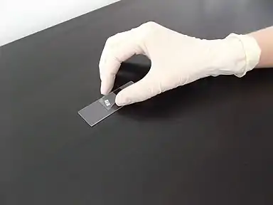 スライドガラスに載せられるカバーガラス