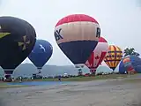 アメリカ合衆国の中部ハドソンバレーバルーンフェスティバル。