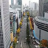 起点から望む