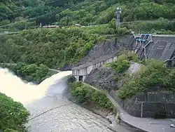 放流のようす