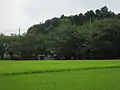 悠紀斎田鳥居奥に記念碑。