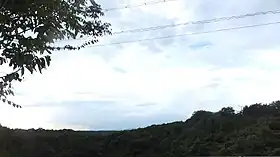 三木山国有林