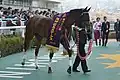 阪神牝馬S