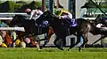 第20回優勝馬ミッキークイーン（鞍上、浜中俊）