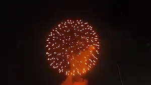 県立三木総合防災公園で打ち上げられる花火