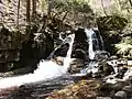三室の滝(河内)