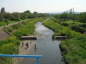 南浅川 2009年4月29日撮影