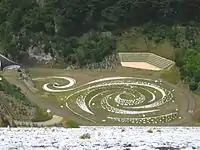  ウズマクヒロバ