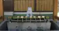 港住吉神社の御手水の兎