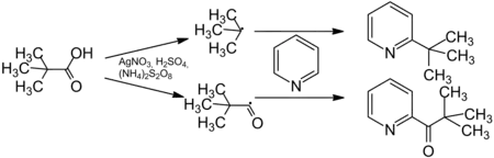 Mechanism of the Minisci-Reaction