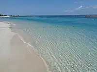 水納島の浜辺(北岸)