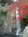 12月、紅葉
