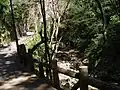 箕面滝道