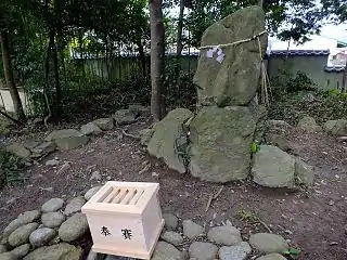 陰陽石(女性）