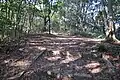 操山山頂