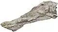 石室俯瞰図