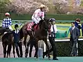 阪神牝馬ステークス本馬場入場