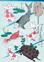 落合芳幾『見立て似（よ）たか金魚』 （夜鷹を金魚に模したもの。）