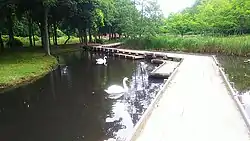 昆虫たちのはらっぱ