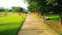 レンガのアプローチゾーン