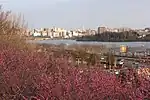 偕楽園と千波湖