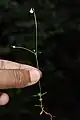 全体の姿