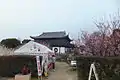 尋梅館