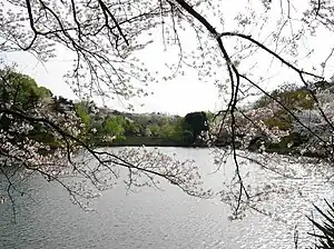 中の池（神奈川県立三ツ池公園）（2012年4月）
