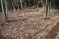 二の丸跡