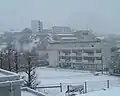 冬