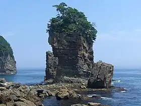 三王岩(2009年当時)